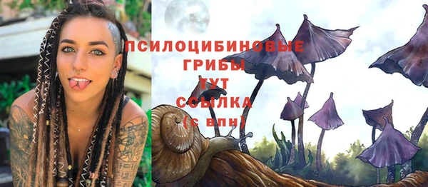 бутират Верея